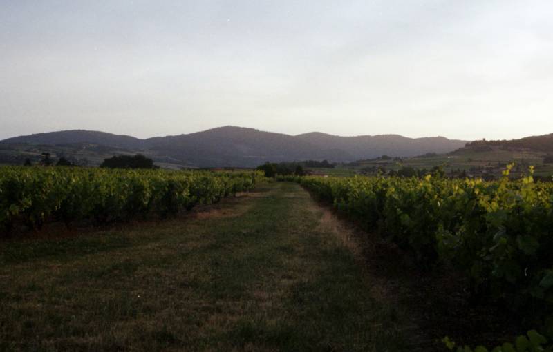 Transporteur de vin spécialiste de l'oenotourisme dans le Beaujolais et la vallée du Rhône